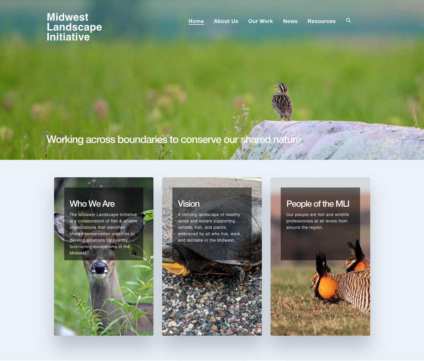 Homepage of the MLI website