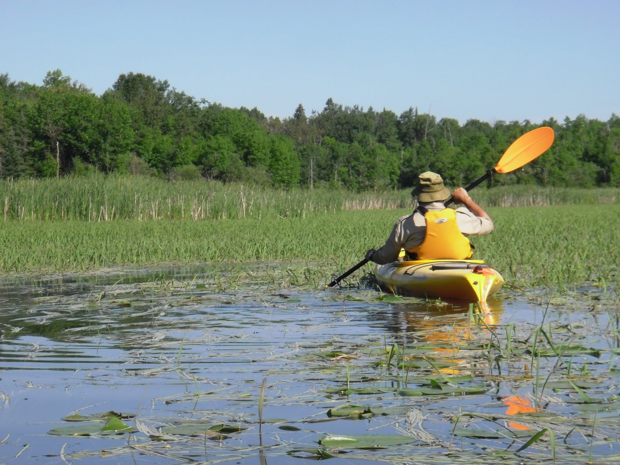 Kayaking