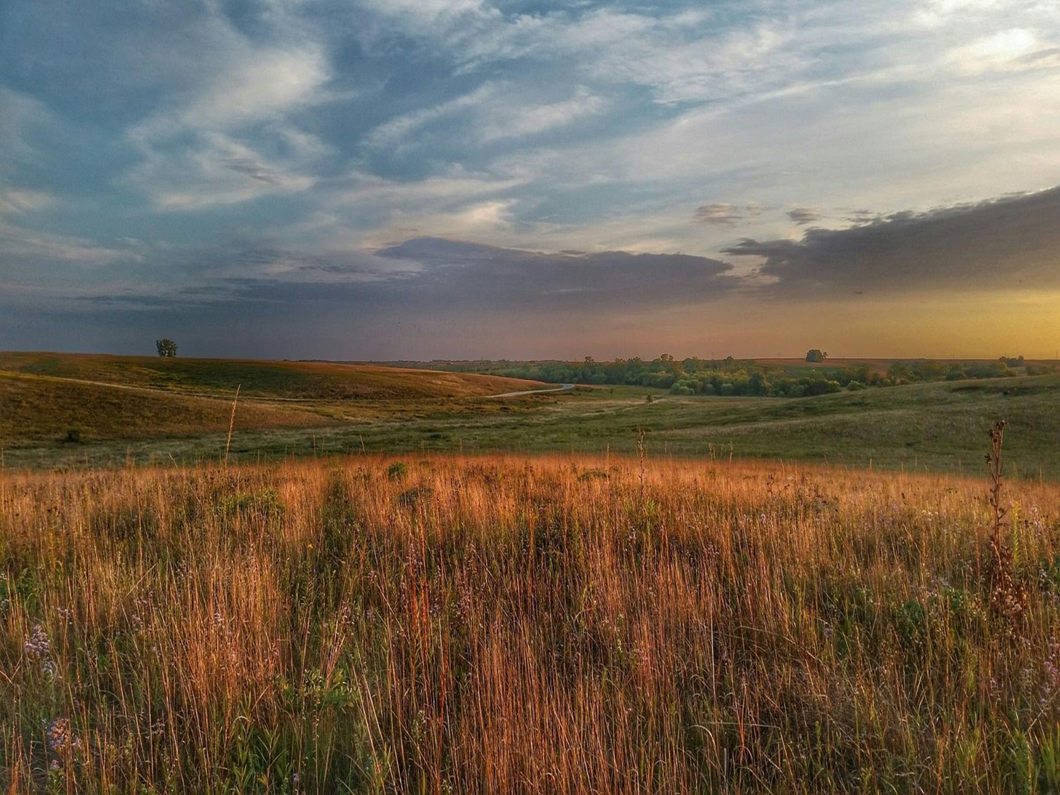 Photo of prairie at Neal Smith National Wildlife Refuge